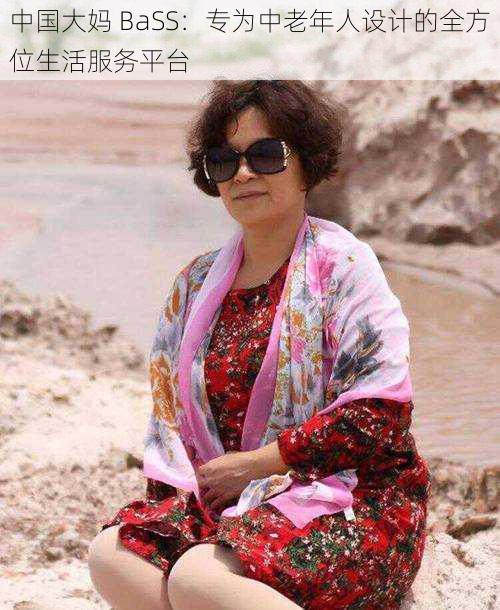 中国大妈 BaSS：专为中老年人设计的全方位生活服务平台