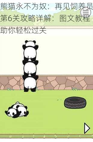 熊猫永不为奴：再见饲养员第6关攻略详解：图文教程助你轻松过关