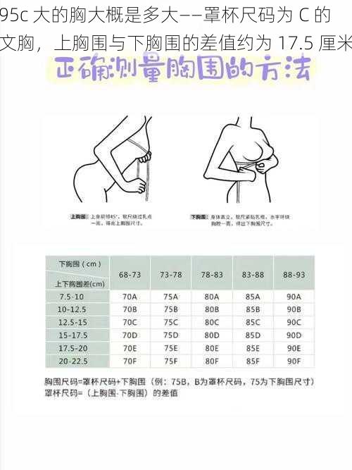 95c 大的胸大概是多大——罩杯尺码为 C 的文胸，上胸围与下胸围的差值约为 17.5 厘米