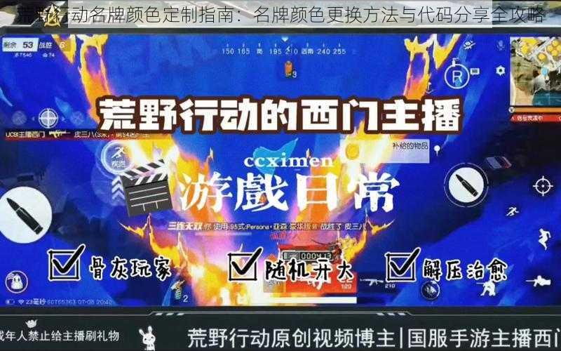荒野行动名牌颜色定制指南：名牌颜色更换方法与代码分享全攻略