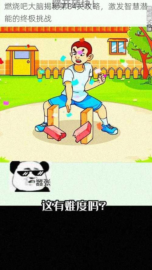 燃烧吧大脑揭秘第84关攻略,激发智慧潜能的终极挑战