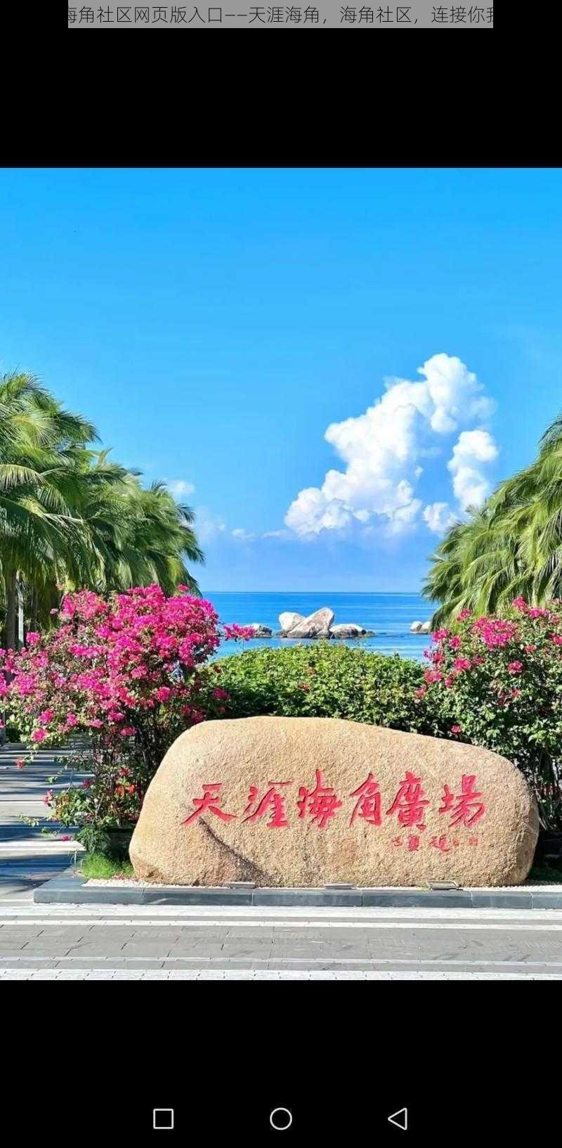 海角社区网页版入口——天涯海角,海角社区,连接你我