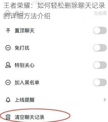 王者荣耀:如何轻松删除聊天记录的详细方法介绍