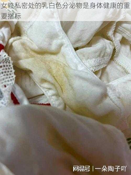 女性私密处的乳白色分泌物是身体健康的重要指标