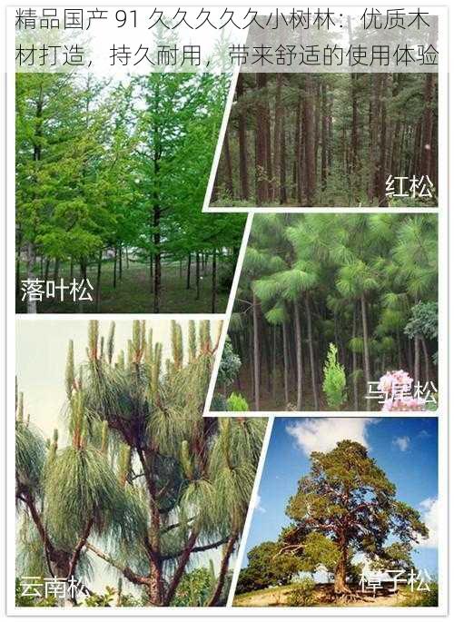 精品国产 91 久久久久久小树林:优质木材打造,持久耐用,带来舒适的使用体验