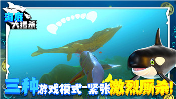 活下去专属悍马的样式：如何打造最适合末日生存的专属悍马