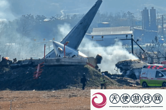 179人遇难！韩国空难新进展：失事前黑匣子竟然停录