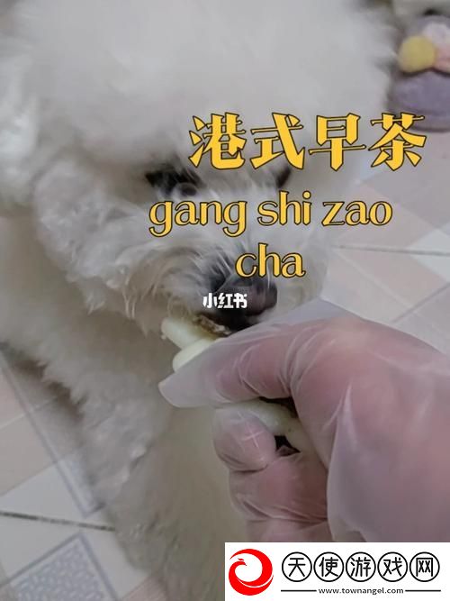 狗和人胶配方20分钟-网友：共享宠物生活的美好瞬间