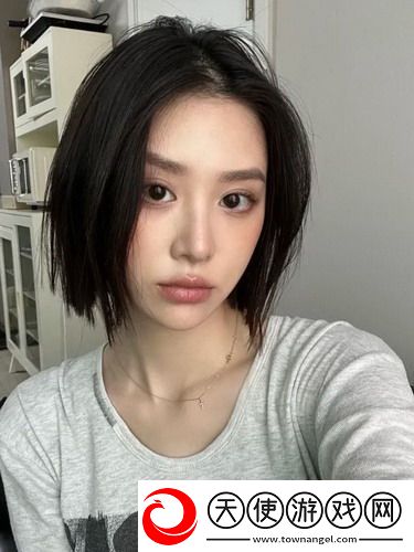 为什么JAVA在日本的HD技术应用中备受关注-是否会引领未来的技术潮流