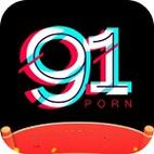 探索91skins平台的无限可能
