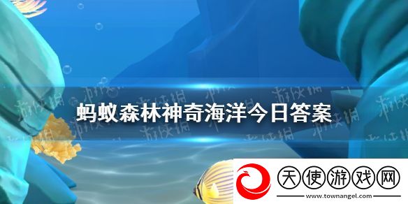以下哪种蟹天生就是红色的