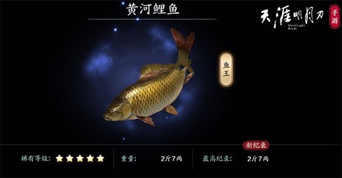 天涯明月刀手游黄河鲤鱼在哪钓-黄河鲤鱼钓点位置介绍