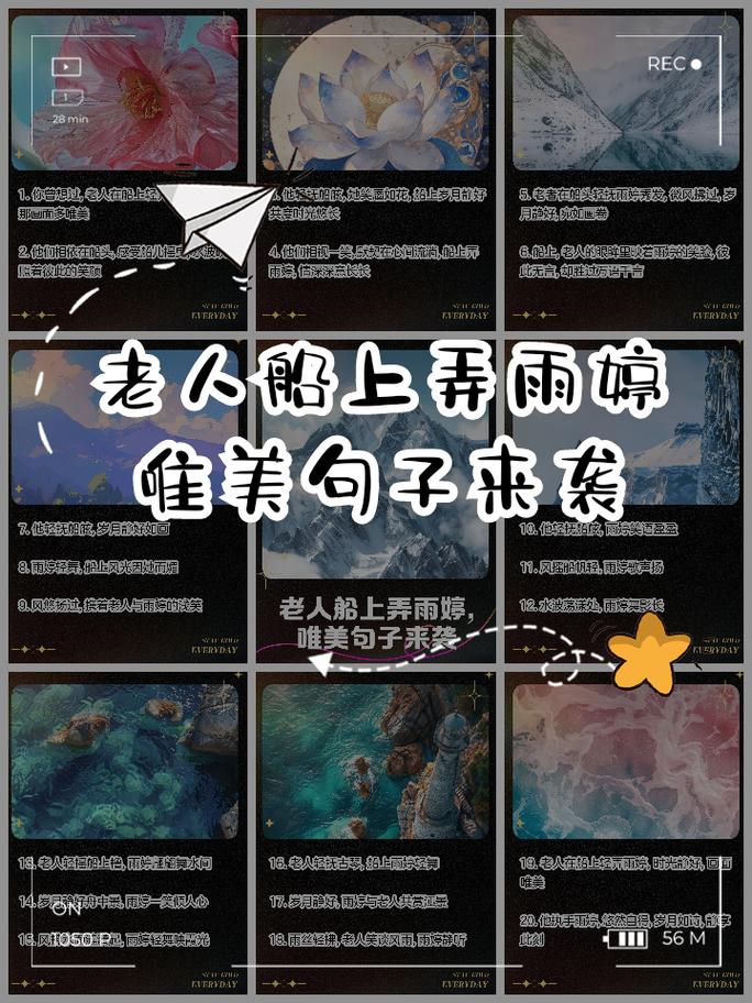 回忆中的情感瞬间——“老人船上弄雨婷最经典的一句”