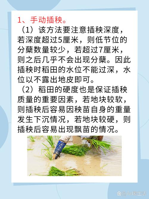 探索“夫妻插秧38种攻略图片大全”的乐趣与智慧