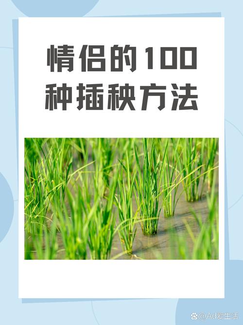 创意与乐趣：夫妻插秧38种方法图片大全的探索之旅