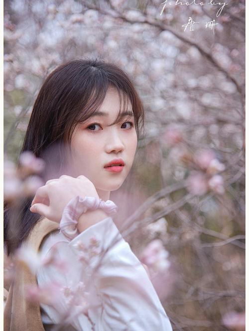 少女花房姑娘电视剧免费观看，平台：某知名视频平台